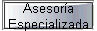 Asesor�a 
 Especializada
