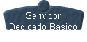 Serrvidor 
 Dedicado Basico